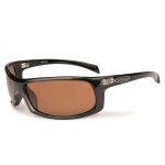 vision_brutal_aurinkolasit