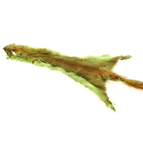 kultaorava_cha