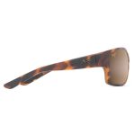 MANGROVES_hcl_bronze