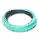 FWSW_Coldwater_OBS_IS5S7