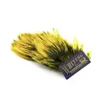 Whiting American Steamer Pack Black laced White dyed Yellow