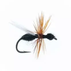 SUPERFLIES CDC Flying Ant