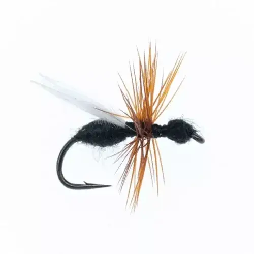 flying-cdc-ant-superflies